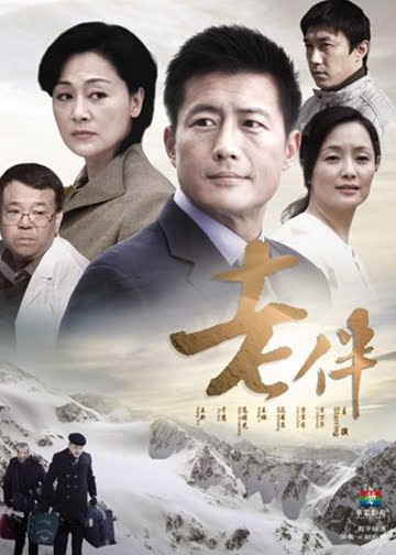 老伴 海报 高清在线观看