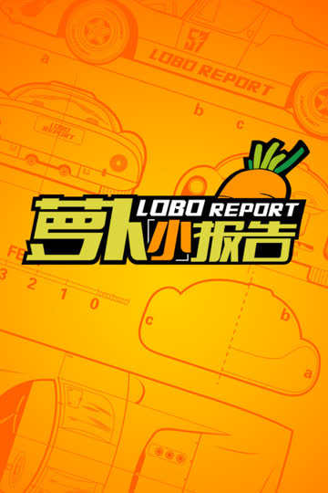 萝卜小报告 海报 高清在线观看