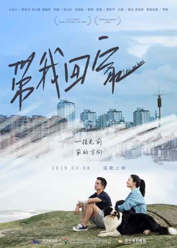 带我回家 海报 高清在线观看