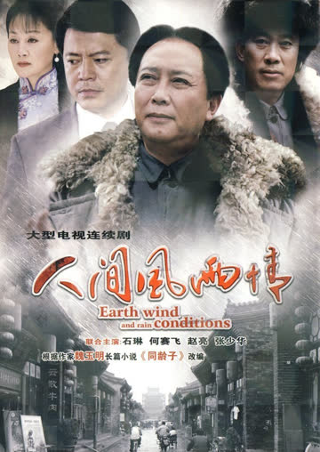 人间风雨情 海报 高清在线观看