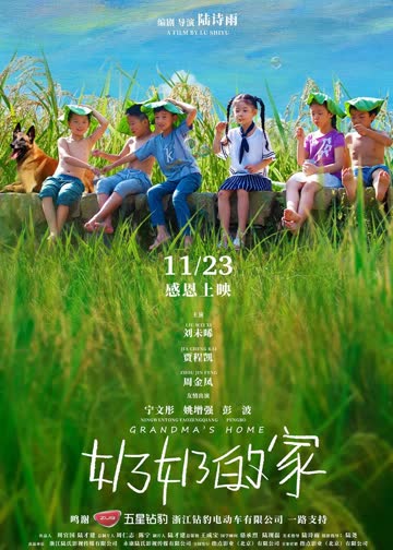 奶奶的家 海报 高清在线观看