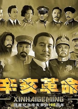 辛亥革命 海报 高清在线观看