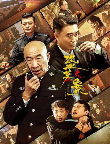 盗墓大案 海报 高清在线观看