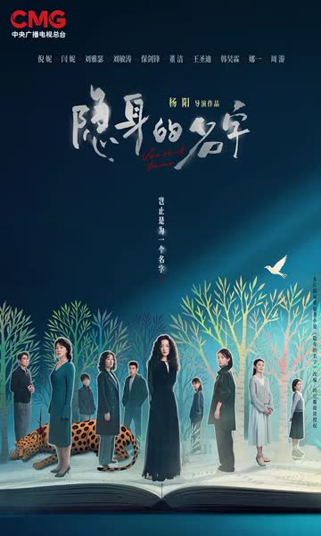 隐身的名字 海报 高清在线观看