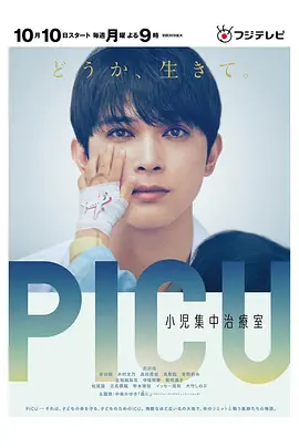 PICU儿童重症监护室 第一季 海报 高清在线观看